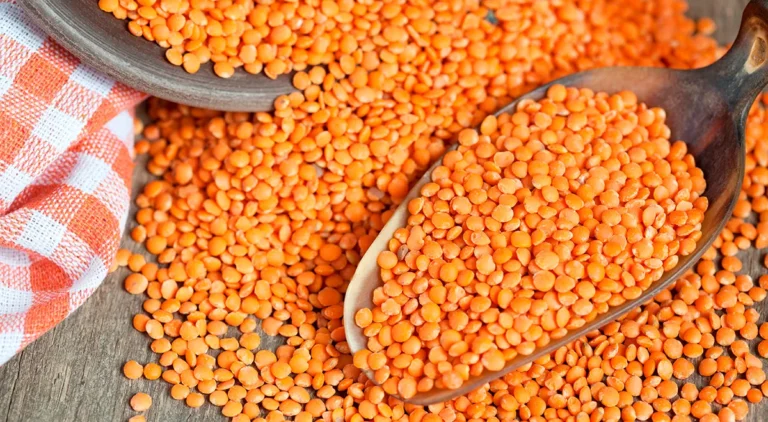 Чечевица – користь, рецепти та повний гід для здорового життя 2026 чечевица